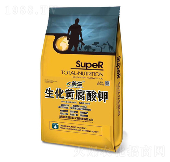 �����S�����-������