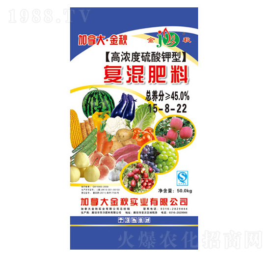 �ߝ��������͏ͻ����15-8-22-���ô󡤽���-�A������