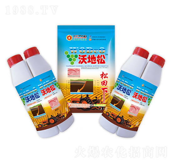 �ֵ���-ʢ������