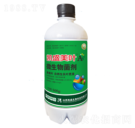 ΢�������-�Pʢ���~A-�Pʢ�ʘI(y��)