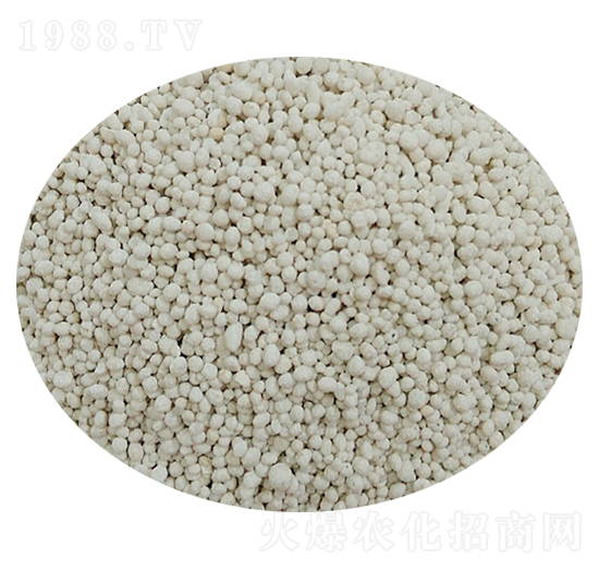 �D�ğo������-��׿����