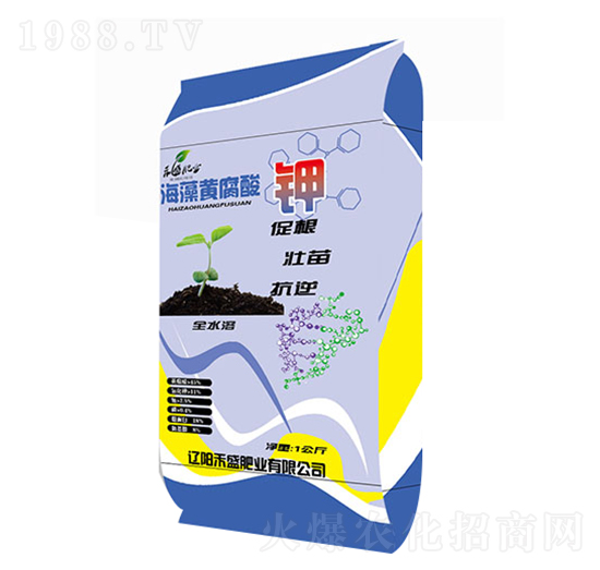 �S�����ԭ��-��ʢ�ʘI(y��)