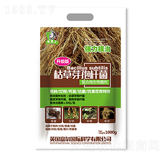 �ݲ�ѿ�ߗU��������(j��)�棩-�����Ƽ�