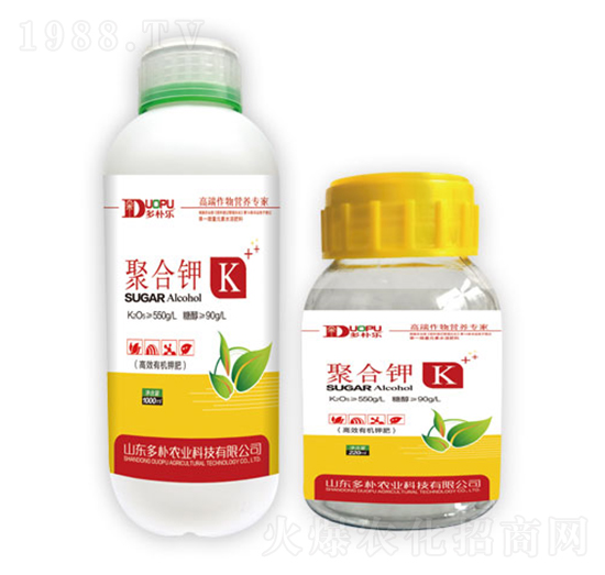 �ۺ��-�����Ƽ�