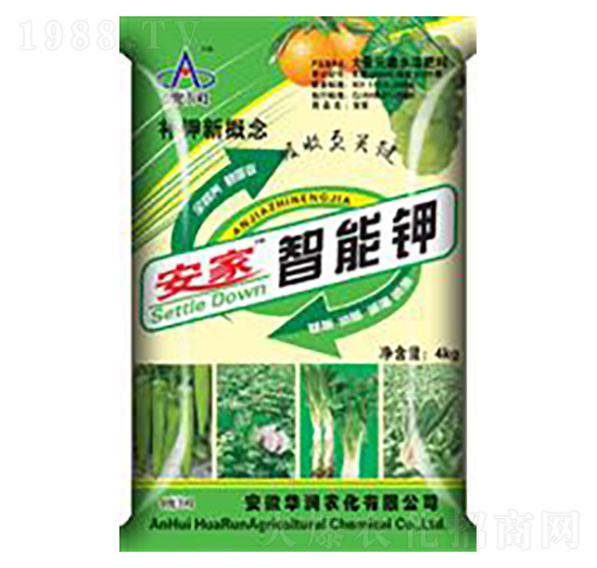 ���������-�A���r(n��ng)��