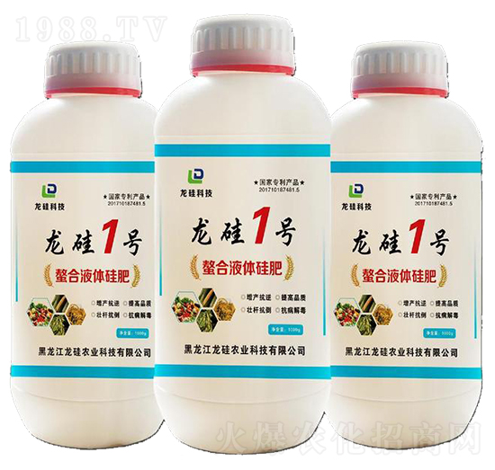 ����Һ�w���-����1̖(h��o)-����