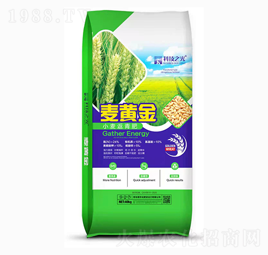 С�������-�Ƽ�֮��-����