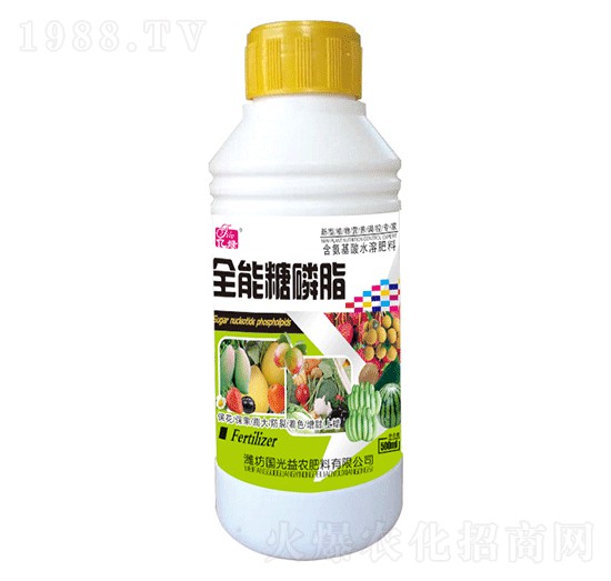 ����֬-��(gu��)�����r(n��ng)