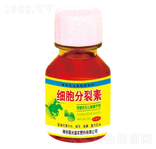 60g��(x��)��������-�������r(n��ng)