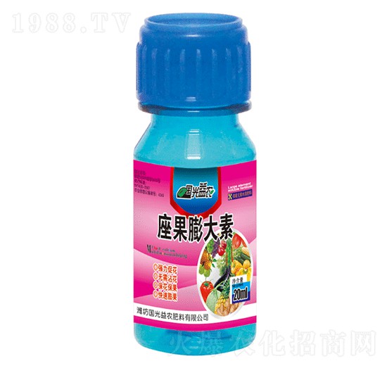 ���������-��(gu��)�����r(n��ng)