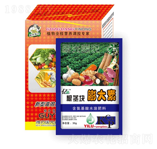 ���o�K�����-�������r(n��ng)