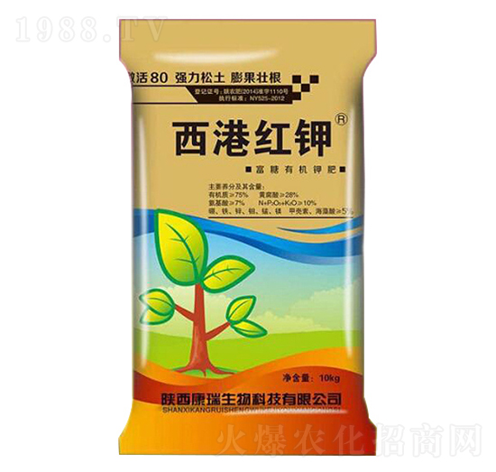 ���ۼt�-��������