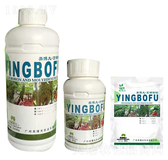 �����f�\ Ӣ����