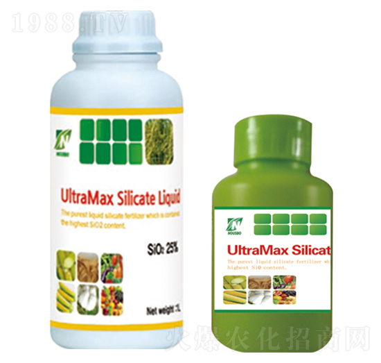 �n��(gu��)�茚-���A��