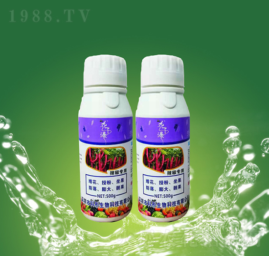 ������(zhu��n)��-��ͮ����