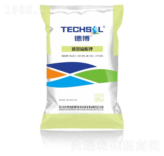 ���������-�²�-��ʢ����