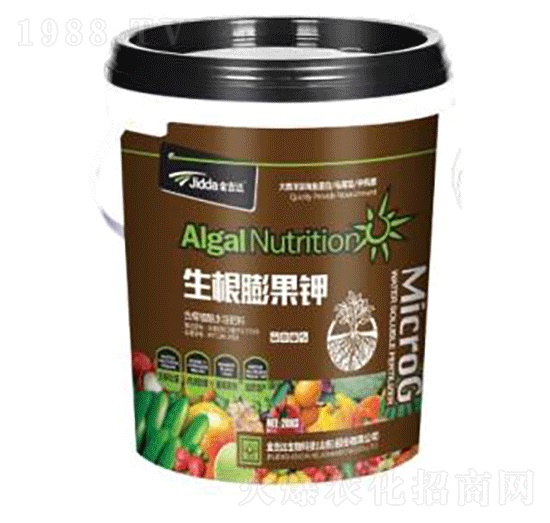 ��������-���_(d��)