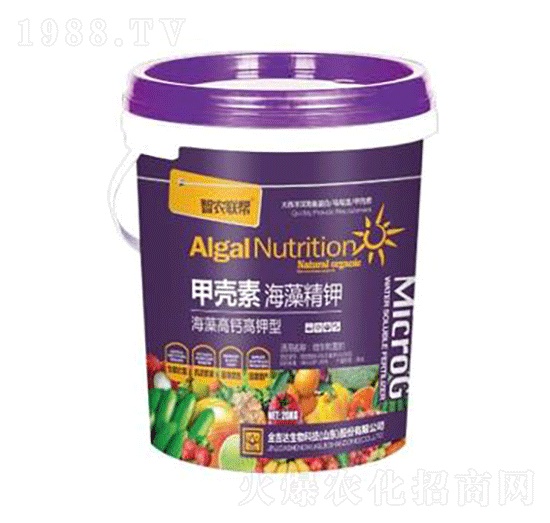 �ך��غ��徫�-���_(d��)