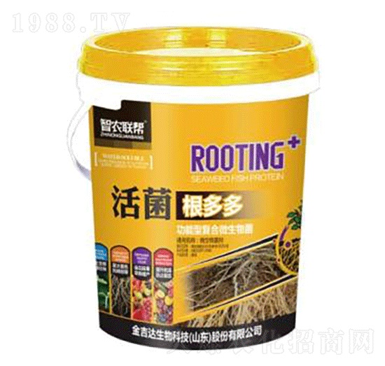 ��������-���_