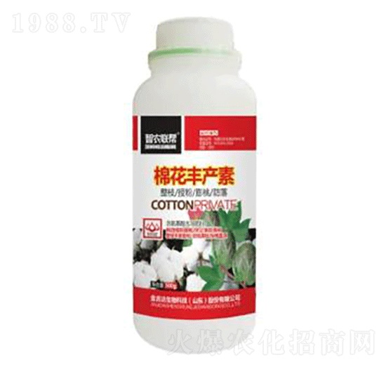 �޻��S�a(ch��n)��-���_(d��)