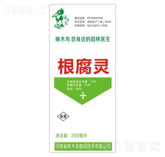 �����`-��ľ�B