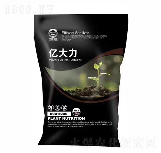 �VԴ�S�����-�|����-�{��ʯ