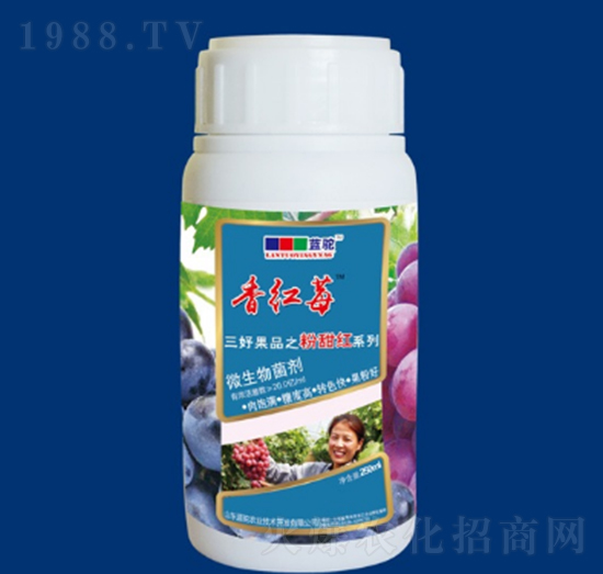 ΢�������-��tݮ��-�{(l��n)��r(n��ng)�I(y��)