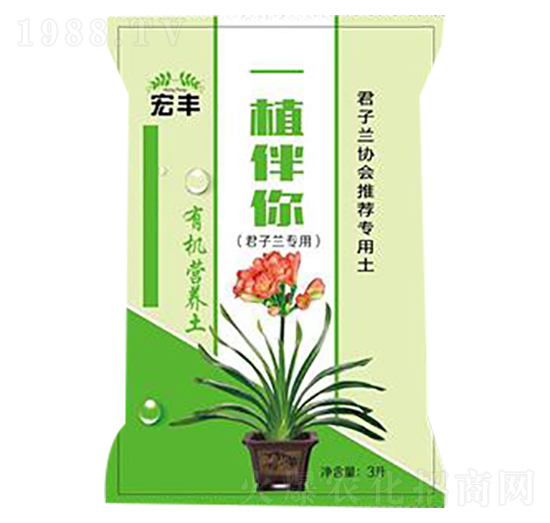 �����m���ü�ͥ�@ˇ�ЙC�I�B(y��ng)��-һֲ����-���S