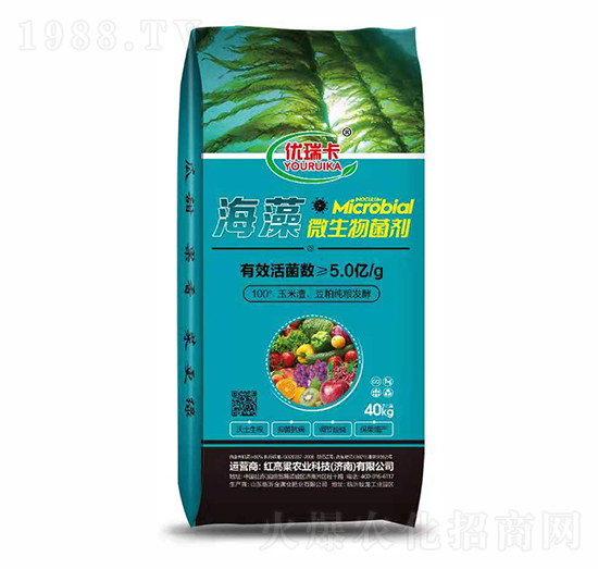 ����΢�������-��(y��u)��-�t����