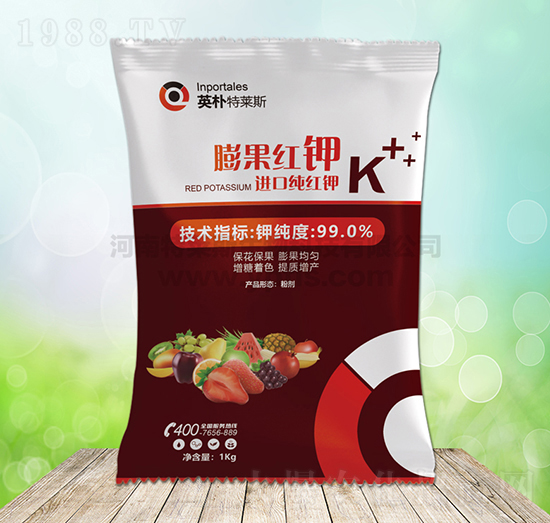 ����t�-Ӣ�����R˹