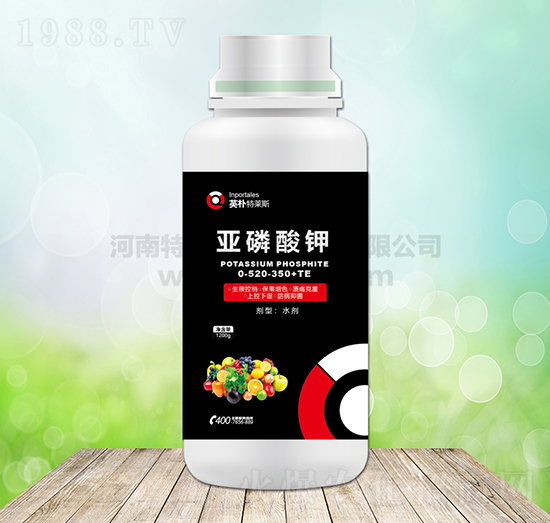 �������-Ӣ�����R˹