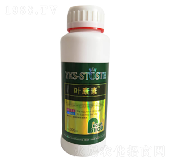 �������~���-�ն���