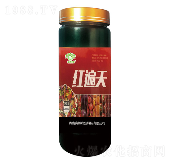 �t����-�Z���-�WȻ�r�I(y��)