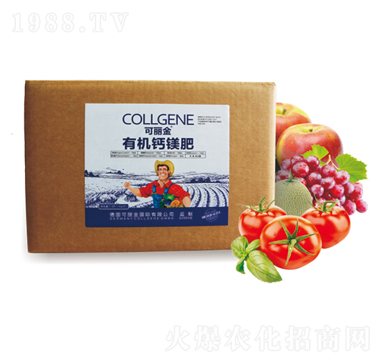 �ЙC(j��)�}�V��-������-(li��n)��ϲ�r(n��ng)