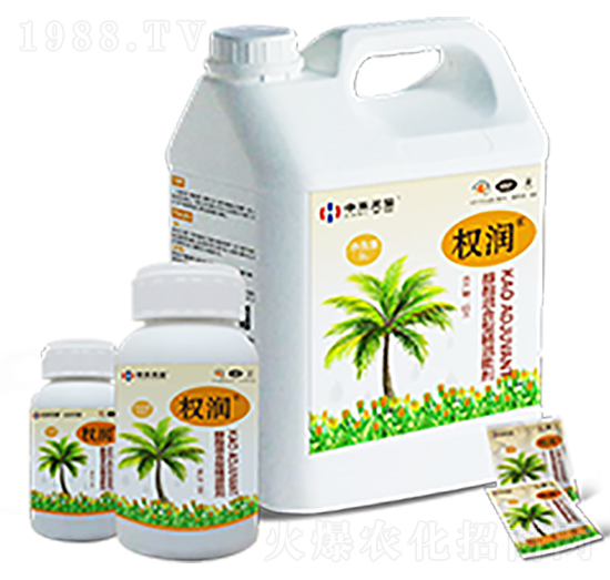 �r�Ç��F����-����-�к����