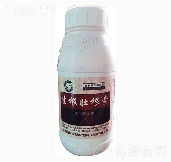 �����Ѹ��أ�ƿ�b��-����Ԋ