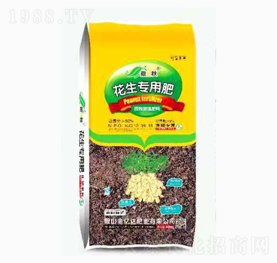 �������ÿ�ጓ������-������-���|�_�ʘI(y��)