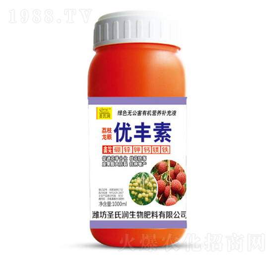 ��֦���ۃ�(y��u)�S��-ʥ�ϝ�