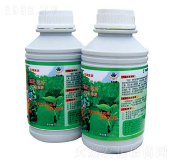 ɣ�茣(zhu��n)�àI(y��ng)�B(y��ng)Һ-�𳼿Ƽ�