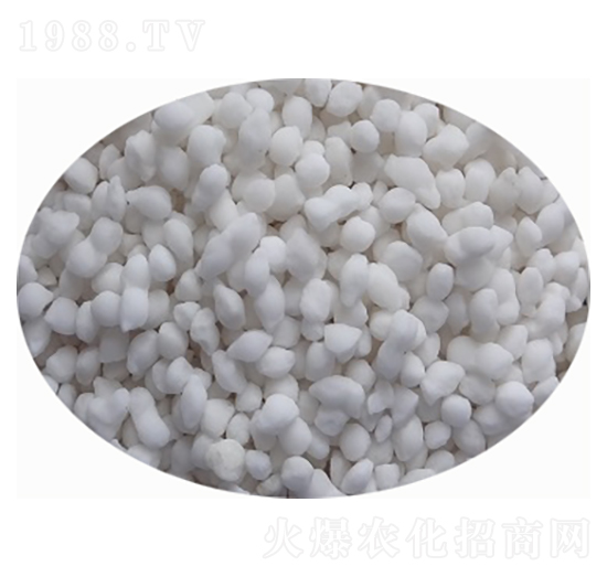 �����@�w��-���̷ʘI(y��)