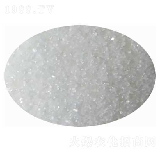 ����(n��i)������(j��)�����@-���̷ʘI(y��)