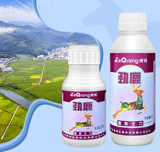 ��̼֮��-��¹-��j����