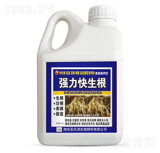 ��(qi��ng)��������-ʥ�ϝ�