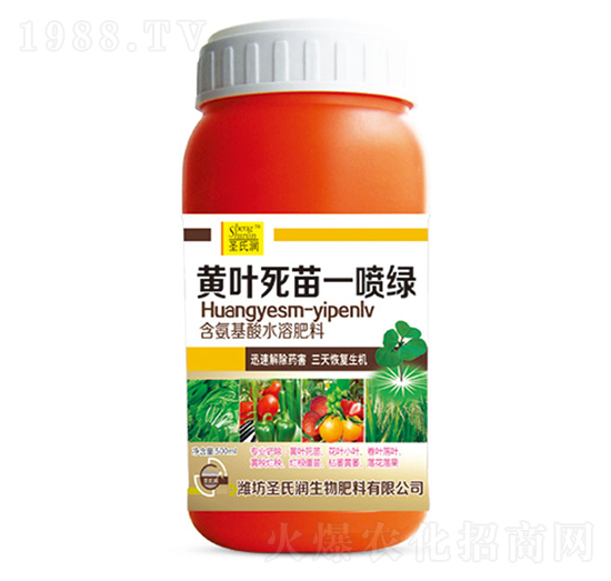 �S�~����һ���G-ʥ�ϝ�