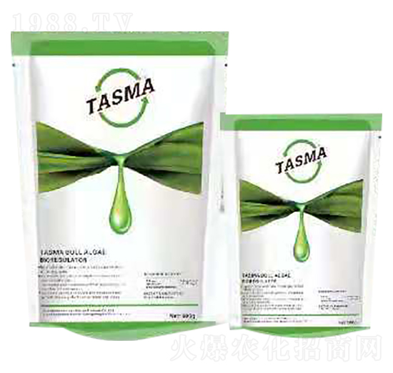 ��ţ�����-��˹�R-��΢