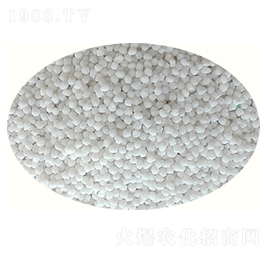 ������TM��ጵ���-�߸�