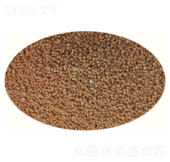 ���`̤��-����̤-�߸�