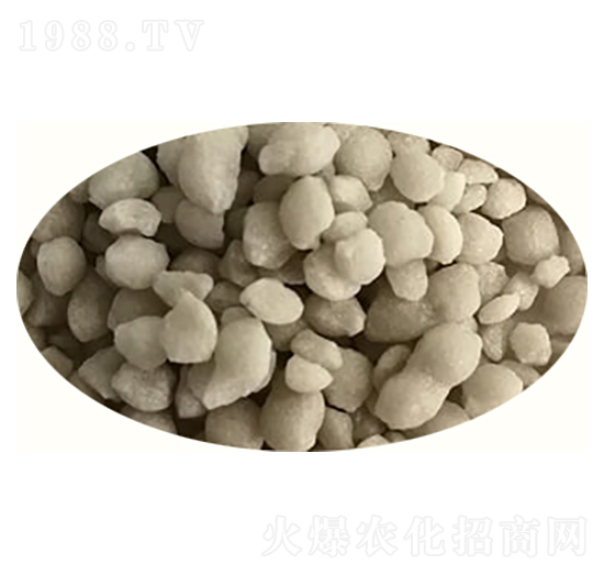 �D�������@�w��-�߸�