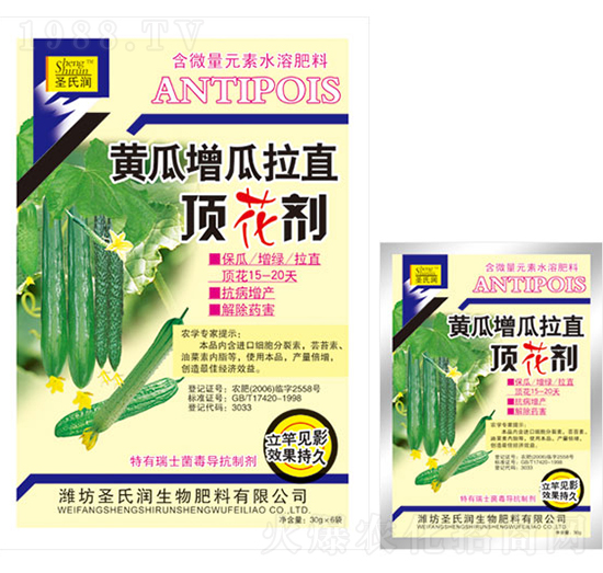 �S��������ֱ픻���-ʥ�ϝ�