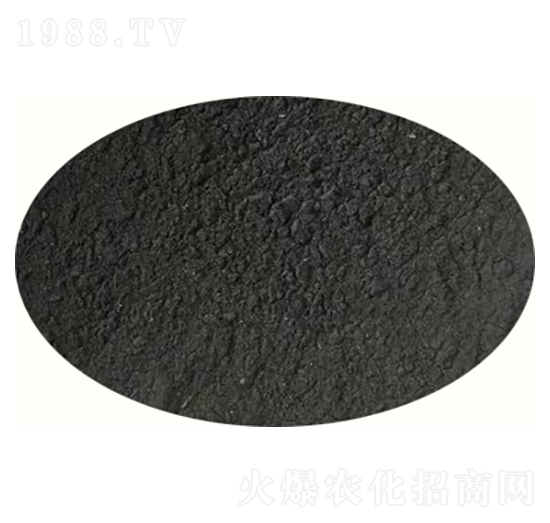 ����ľ��-ԣ����Դ